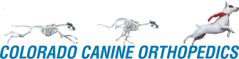Colorado Canine Orthopedics